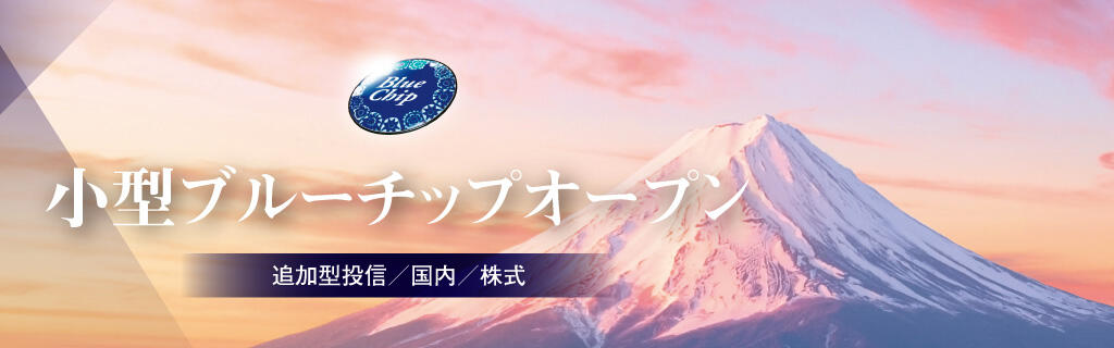 小型ブルーチップオープン