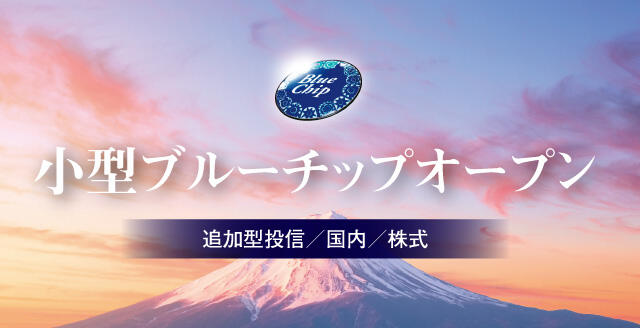 小型ブルーチップオープン